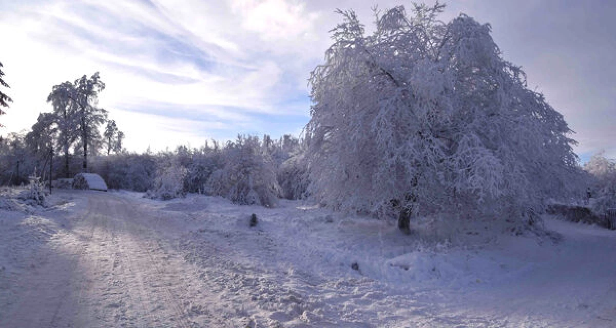 Thüringer Wald in der Nähe von Friedrichroda